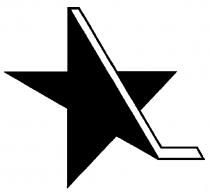 FIVE POINTED STAR WITH ENCLOSED HOCKEY STICK DESIGN