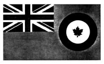 AIR FORCE ENSIGN