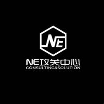 NE NEI CONSULTING & SOLUTION