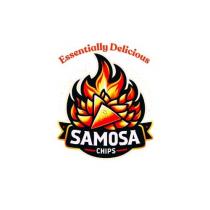 SAMOSA CHIPS ESSENTIALLY DELICIOUS