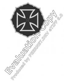 EVALUATION COPY