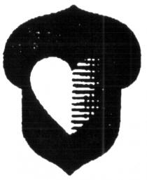 ACORN DESIGN