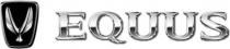 EQUUS V