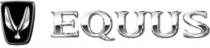V EQUUS