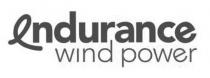 ENDURANCE WIND POWER