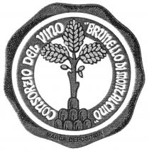 CONSORZIO DEL VINO 