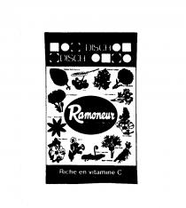 DISCH Ramoneur Riche en vitamine C
