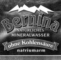 Bernina NATÜRLICHES MINERALWASSER ohne Kohlensäure natriumarm