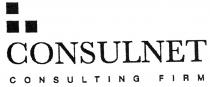 CONSULNET CONSULTING FIRM