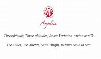 Ampeleia Three friends, Three altitudes, Seven Varieties, a wine as silk Tre Amici, Tre Altezze, Sette Vitigni, un vino come la seta