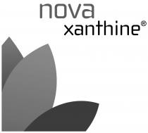 nova xanthine