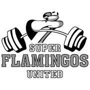 SUPER FLAMINGOS UNITED