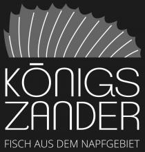 KÖNIGSZANDER FISCH AUS DEM NAPFGEBIET