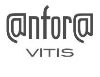 @nfor@ VITIS