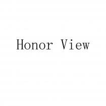 Honor View