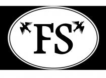 FS