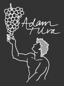Adam Uva
