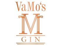 VaMo's VM GIN