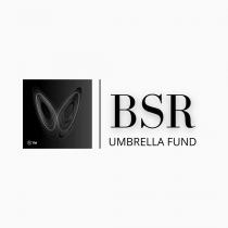 BSR UMBRELLA FUND