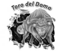 Toro del Domo