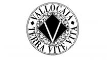 VALLOCAIA TERRA VITE VITA