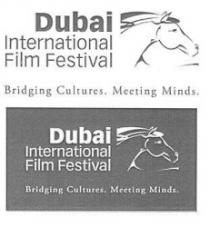 DUBAI INTERNATIONAL FILM FESTIVAL