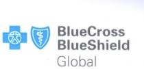 BLUE CROSS BLUE SHIELD GLOBAL