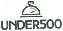 UNDER500
