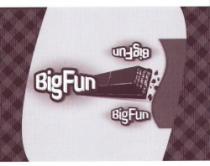 BIG FUN