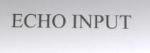 ECHO INPUT