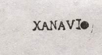 xanavi