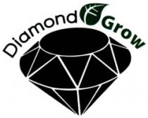 DIAMOND GROW