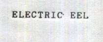 ELECTROIC EEL