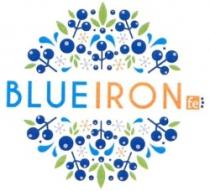 BLUE IRON FE