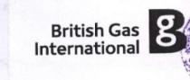 BRITISH GAS INTERNATIONAL - BG