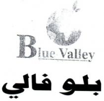 Blue Valley Company