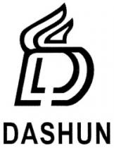 D DASHUN