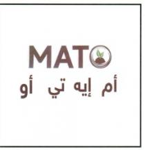 اوه تي ايه ام