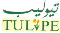 تيوليب