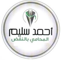 المستشار القانونى احمد سليم المحامى بالنقض عضو اتحاد المحامين العرب