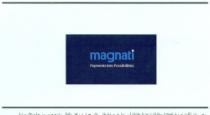 MAGNATI payments into possibilities