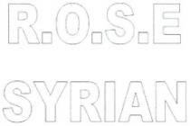 R O S E SYRIAN
