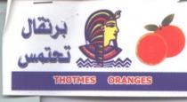 تحتمس