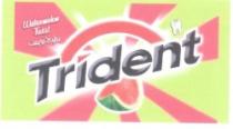 TRIDENT WATERMELON TUIST