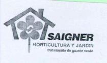 SAIGNER HORTICULTURA Y JARDIN TRATAMIENTO DE GUANTE VERDE