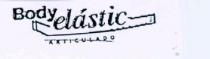 BODY ELASTIC ARTICULADO