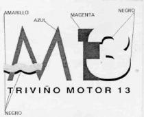 M13 TRIVIÑO MOTOR 13