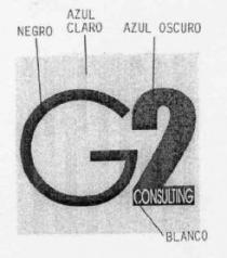 G2 CONSULTING