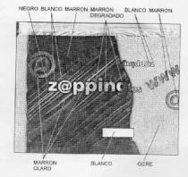 ZAPPING.ES