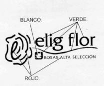 ELIG FLOR ROSAS ALTA SELECCION